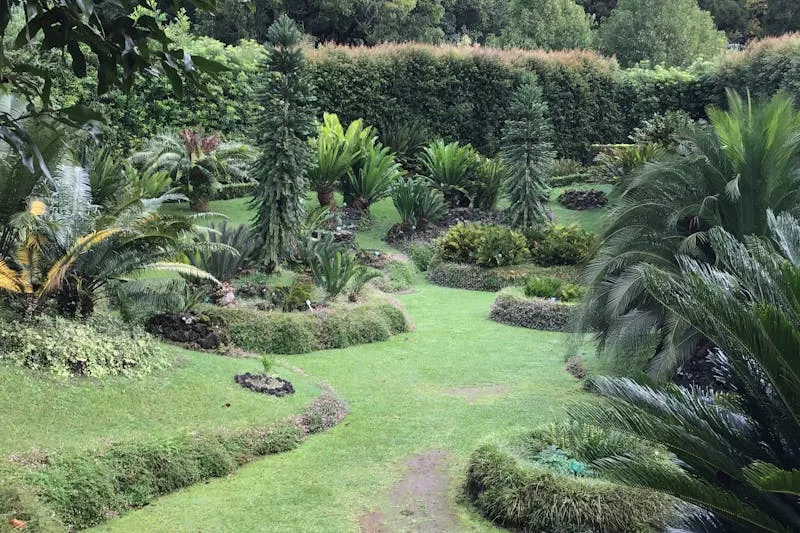 Enfants jouant dehors comme alternative aux écrans