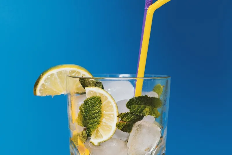 Verre d'eau avec rondelles de citron et feuilles de menthe