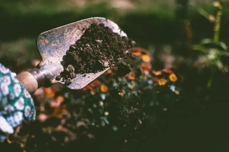 Sol de jardin sain avec vers de terre visibles dans une terre riche, sombre et grumeleuse