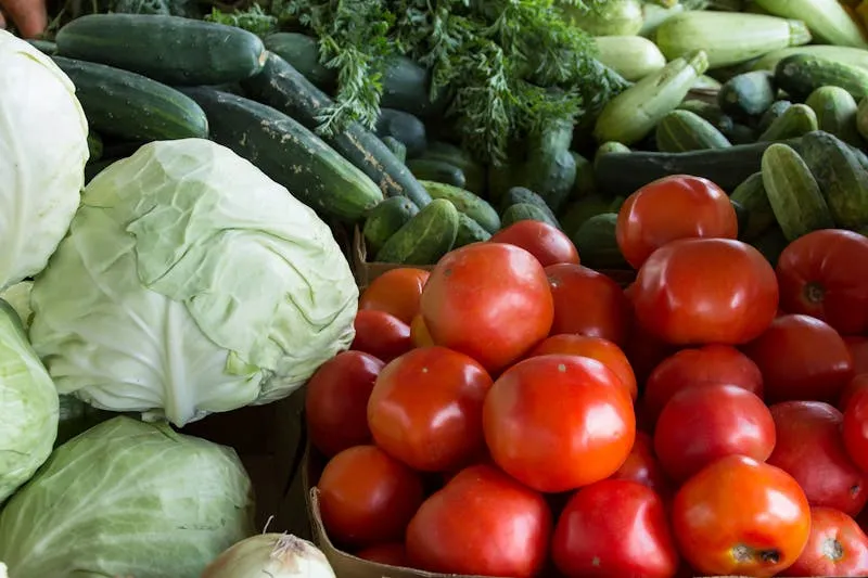 Sources végétales de protéines complètes — légumineuses, tofu, quinoa, oeufs