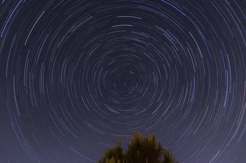Traînées d'étoiles formant une roue circulaire dans le ciel nocturne, au-dessus d'un arbre