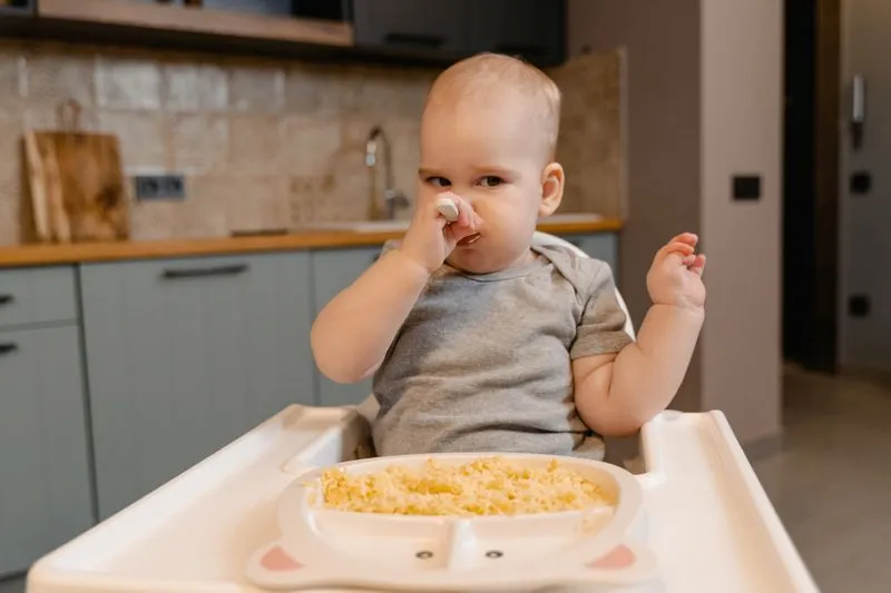 Bébé assis dans sa chaise haute qui goûte ses premiers aliments à la cuillère