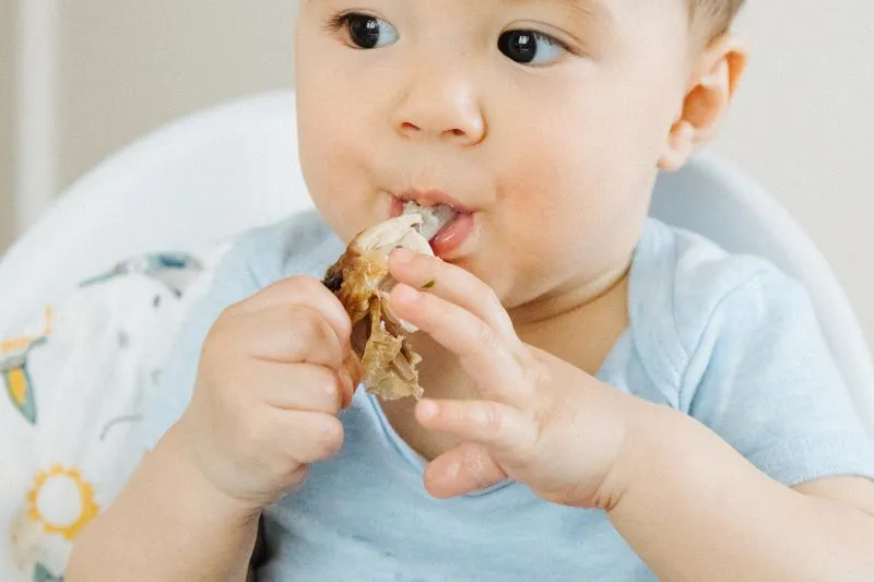 Bébé qui mange un morceau de poulet tendre avec les doigts