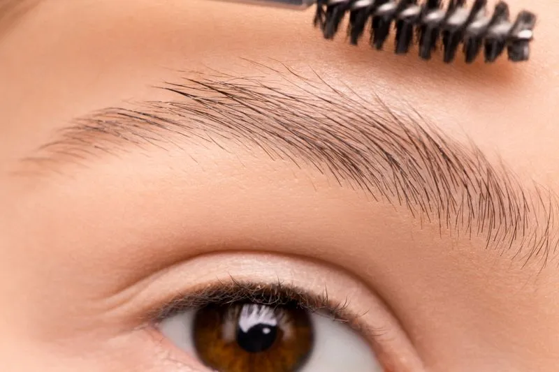 Gros plan d'un sourcil brossé vers le haut, une brosse spoolie juste au-dessus