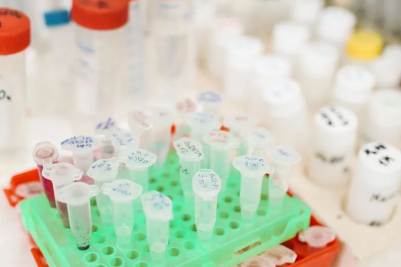 Petits tubes d'échantillons annotés au feutre, rangés dans un portoir vert sur une paillasse de laboratoire