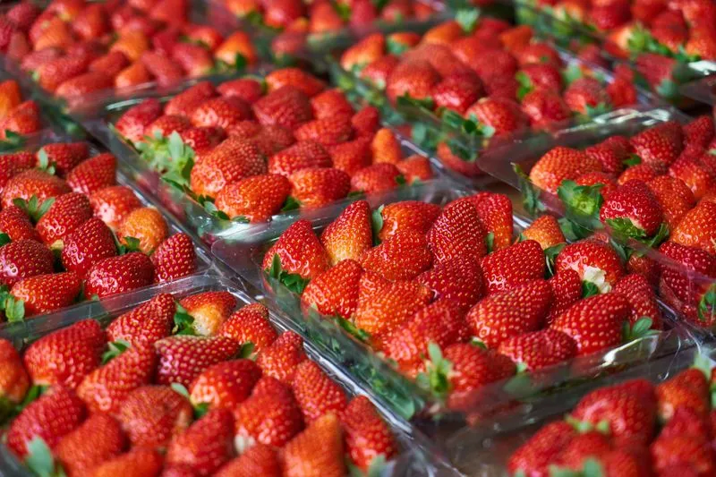 Barquettes de fraises rouges et brillantes alignées sur un étal de marché