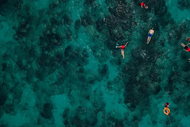 Vue aérienne de nageurs au-dessus d'un récif de corail, dans une eau turquoise