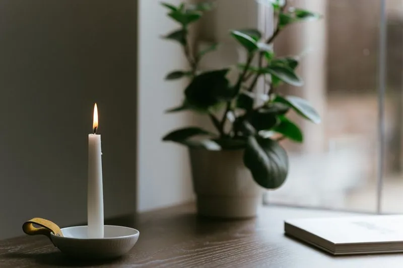 Bougie allumée à côté d'une plante verte, posées sur une table en bois