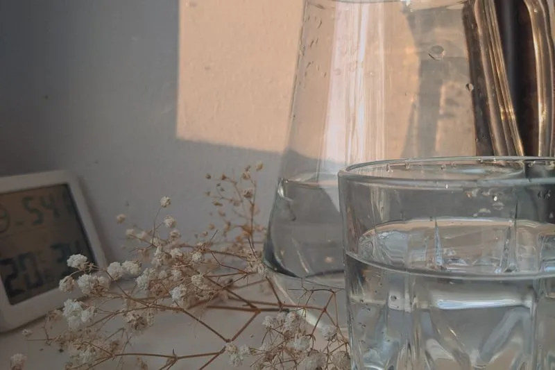 Une carafe et un verre d'eau sur une table, dans la lumière chaude d'une fin d'après-midi d'été, entourés de fleurs séchées