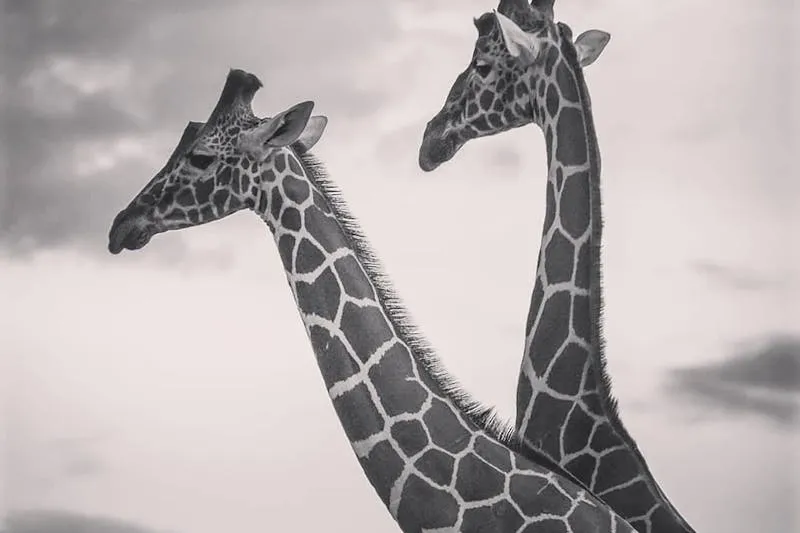 Baignoire d'accouchement dans une salle de naissance nature