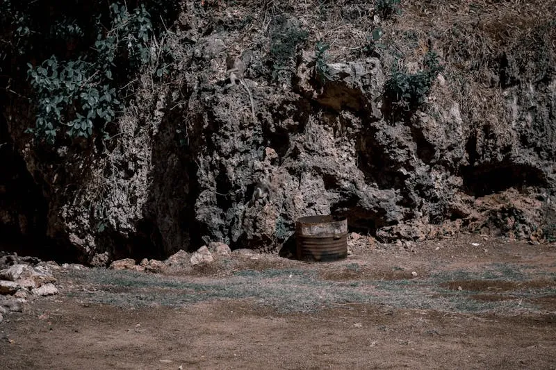 Planches à découper en bois de différentes tailles