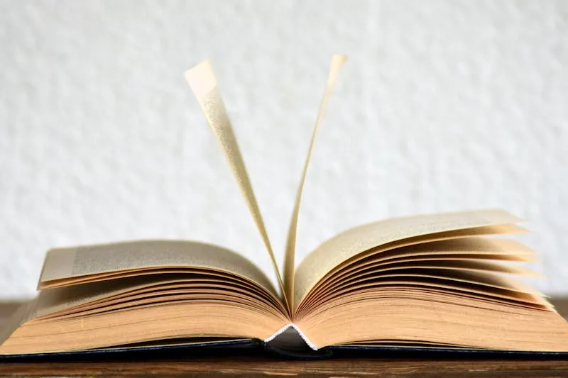 Gros plan sur les pages d'un roman littéraire ouvert